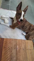 Princesa
