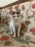 Sophie 