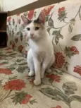 Sophie 