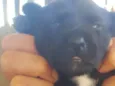 Zoe