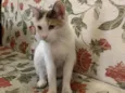 Sophie 