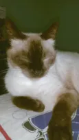 Nix