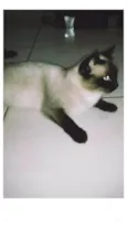 Nix