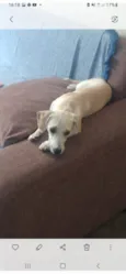 Mel