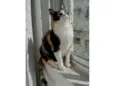 Beatriz