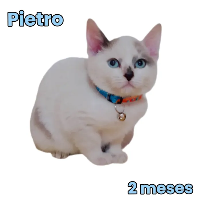 Pietro