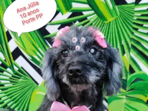 Cachorro raça SRD-ViraLata idade 6 ou mais anos nome Ana Júlia 