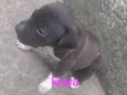Kiara