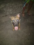 Fred