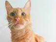 Ben