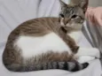 Nikita 