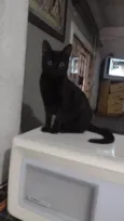 Julieta