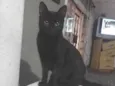 Julieta