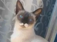 A mãe é Sof e 2 sem nome