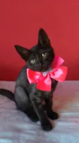Zuri