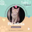 Loiro