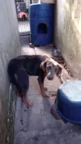 Fiona