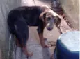 Fiona