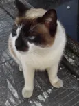 Menina