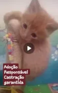 Fagulha