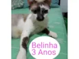 Belinha