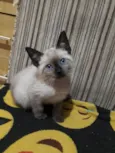 Nina
