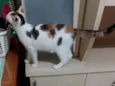 Meg