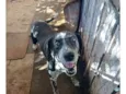 Tufão
