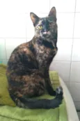 LUÍSA