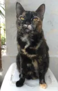 LUÍSA