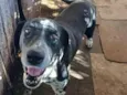 Tufão