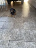 Minnie