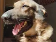 Frederico (Fred)