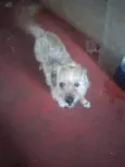 Boby