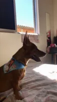 Jake 