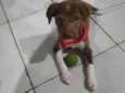 Rony
