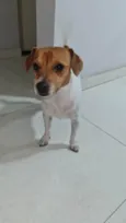 Sem nome