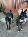 Amora e Bolt
