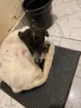 Marley 