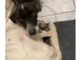 Marley 