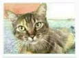 JULLY