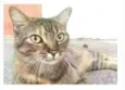 JULLY