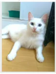 MAITÊ