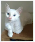 MAITÊ