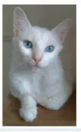 MAITÊ