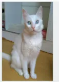 MAITÊ