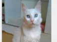 MAITÊ