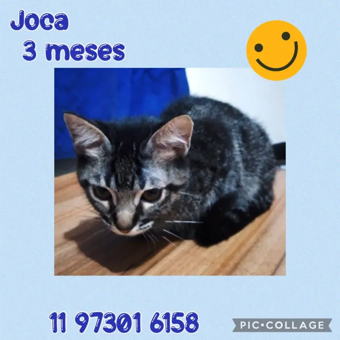 Joca