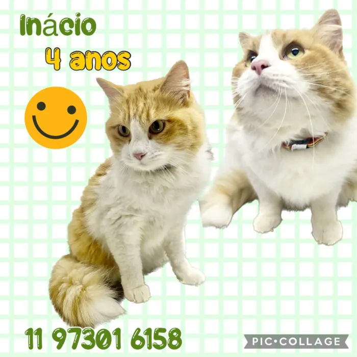 Inácio 