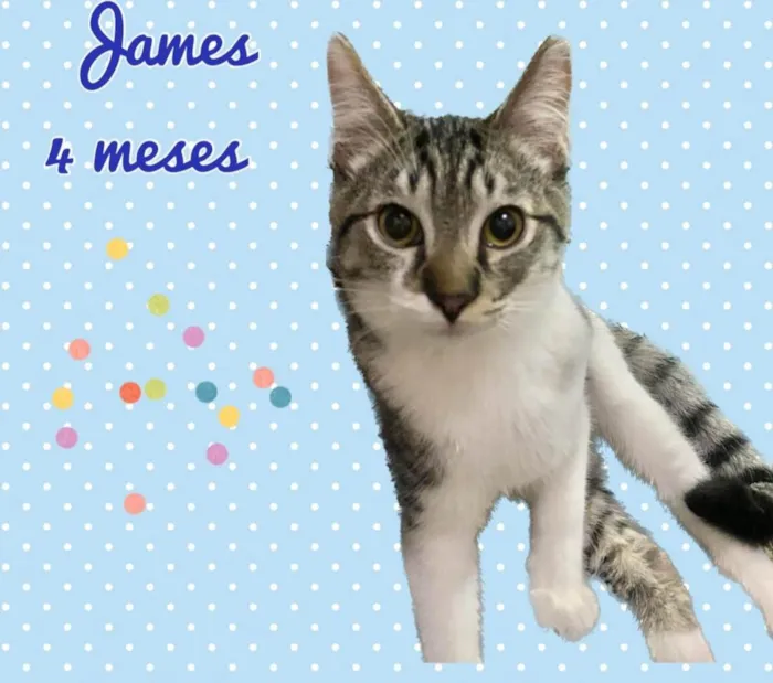 James